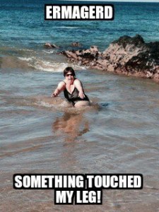 10847963_10152886146070050_7315187619654600044_n