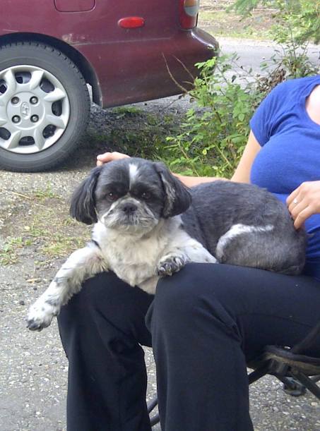 13086727_10154084983020050_7288420906835724815_o